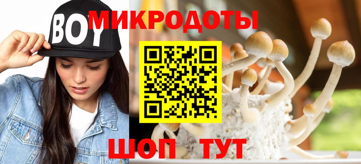 Галлюциногенные грибы мицелий Орёл